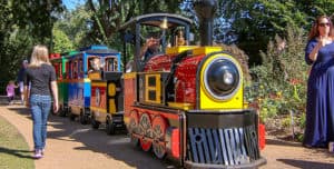 Holiday Ride-on Train