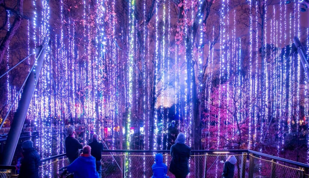 Garden Lights, Holiday Nights