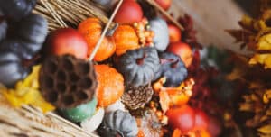 Drawing the Fall Harvest