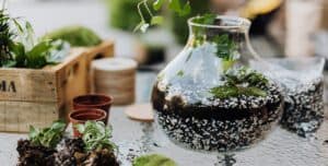 Terrarium Workshop