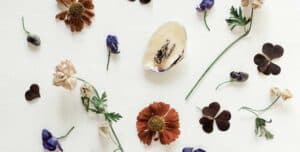Eco Printing Workshop