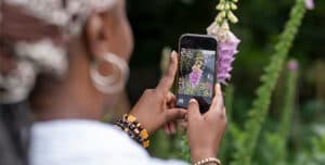 Smartphone Flower Photography