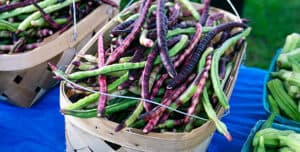 New South Chef Collective: A Garden Dinner Series III