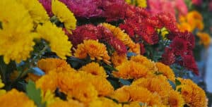 Fall Flower Arrangements