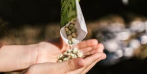 Boo-tanical Seed Exchange