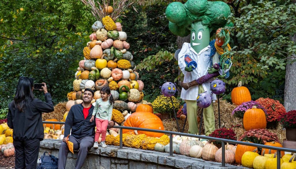Fall Family Fun