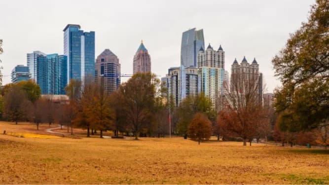 Fall Sunday Picnic at Piedmont Park