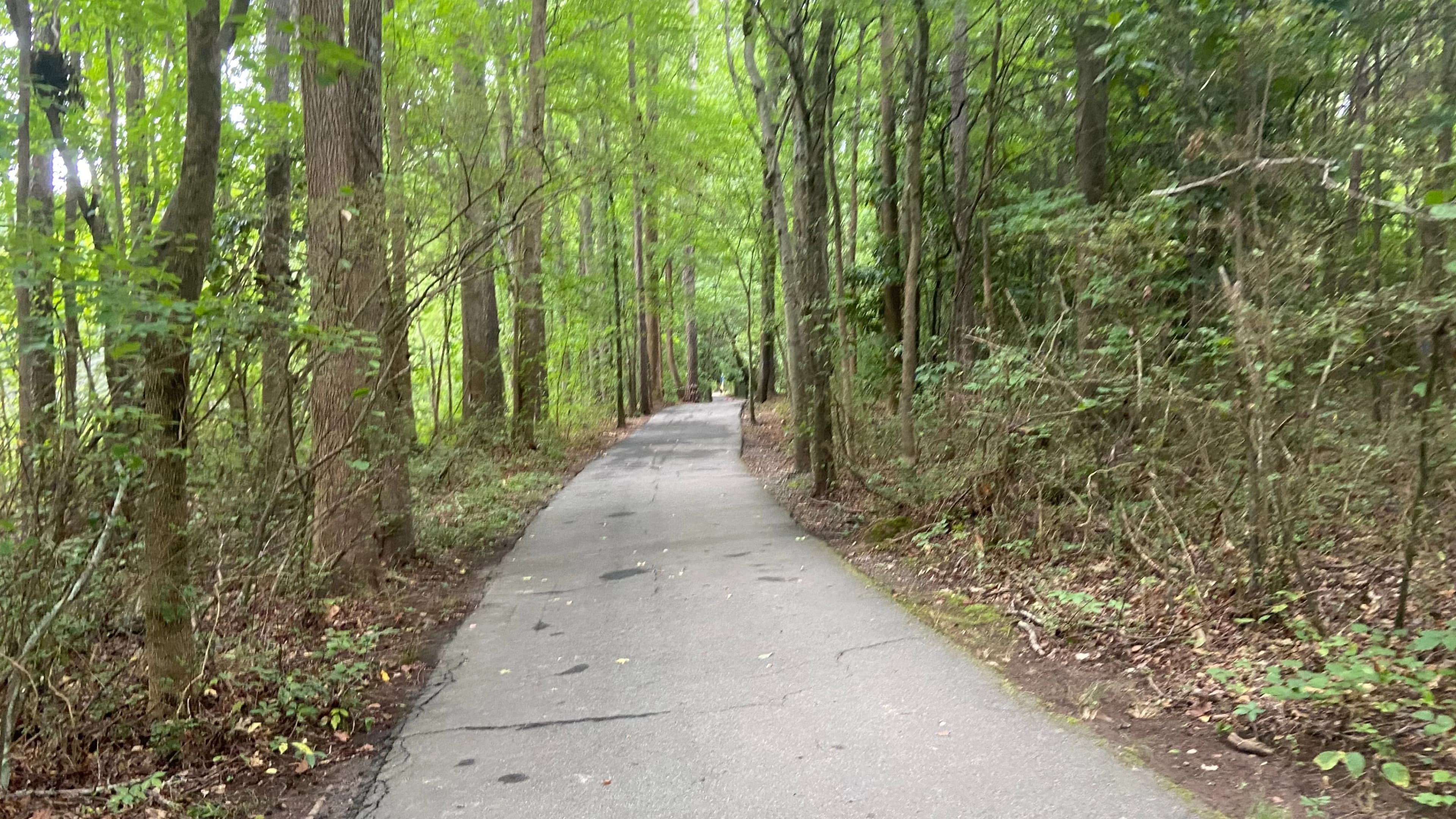Wills Park, Oct 4