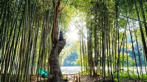 Let's Hike the East Palisades!
