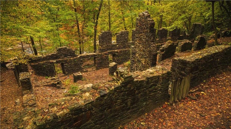Let's Hike Sope Creek!