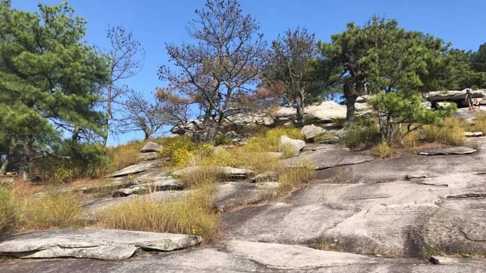 Stone Mountain- Sunrise Hike