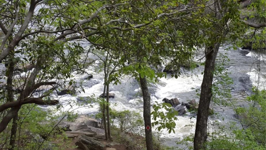Cool Morning Sweetwater Creek State Park hike 