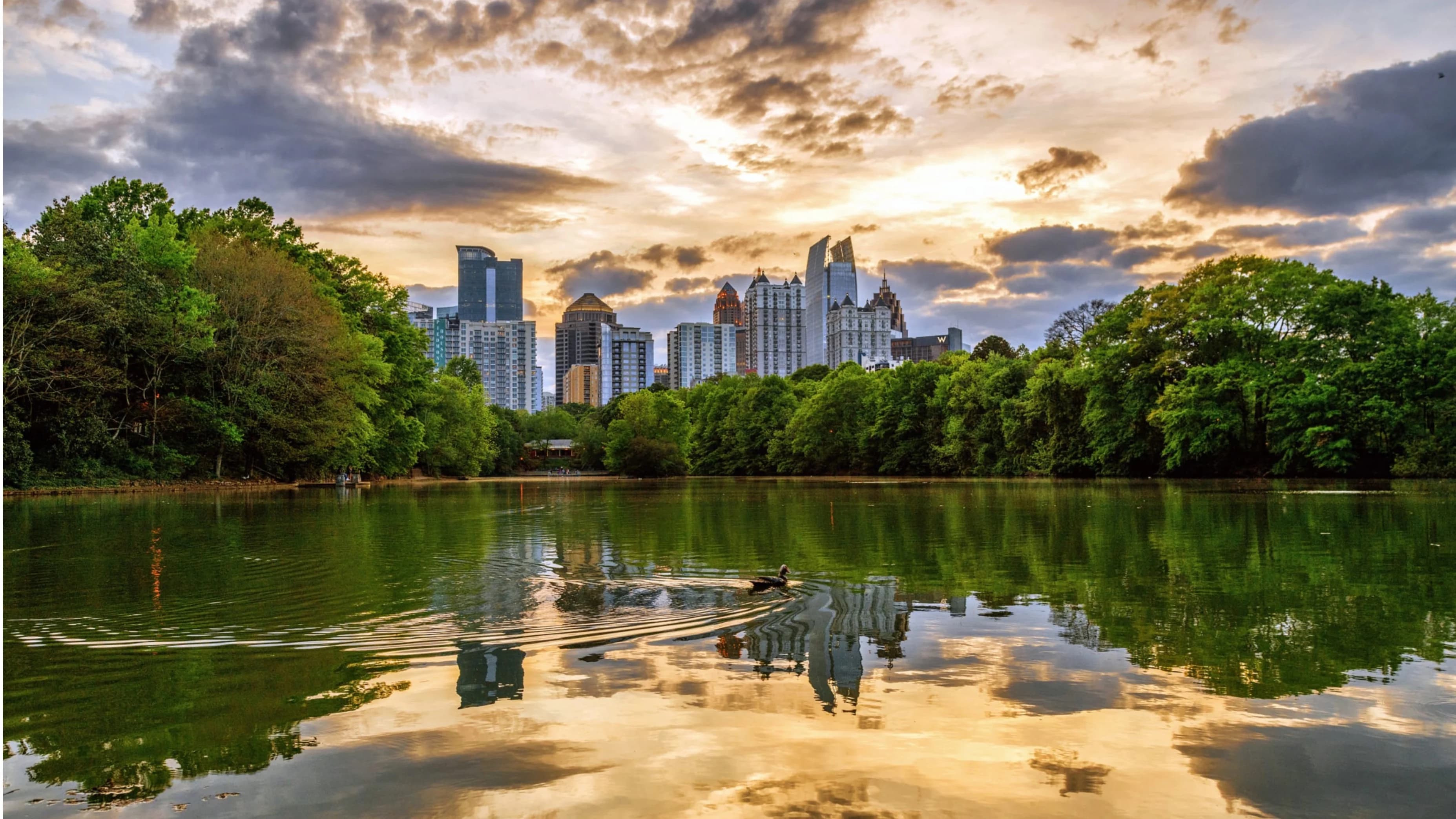 Picnic at Piedmont Park