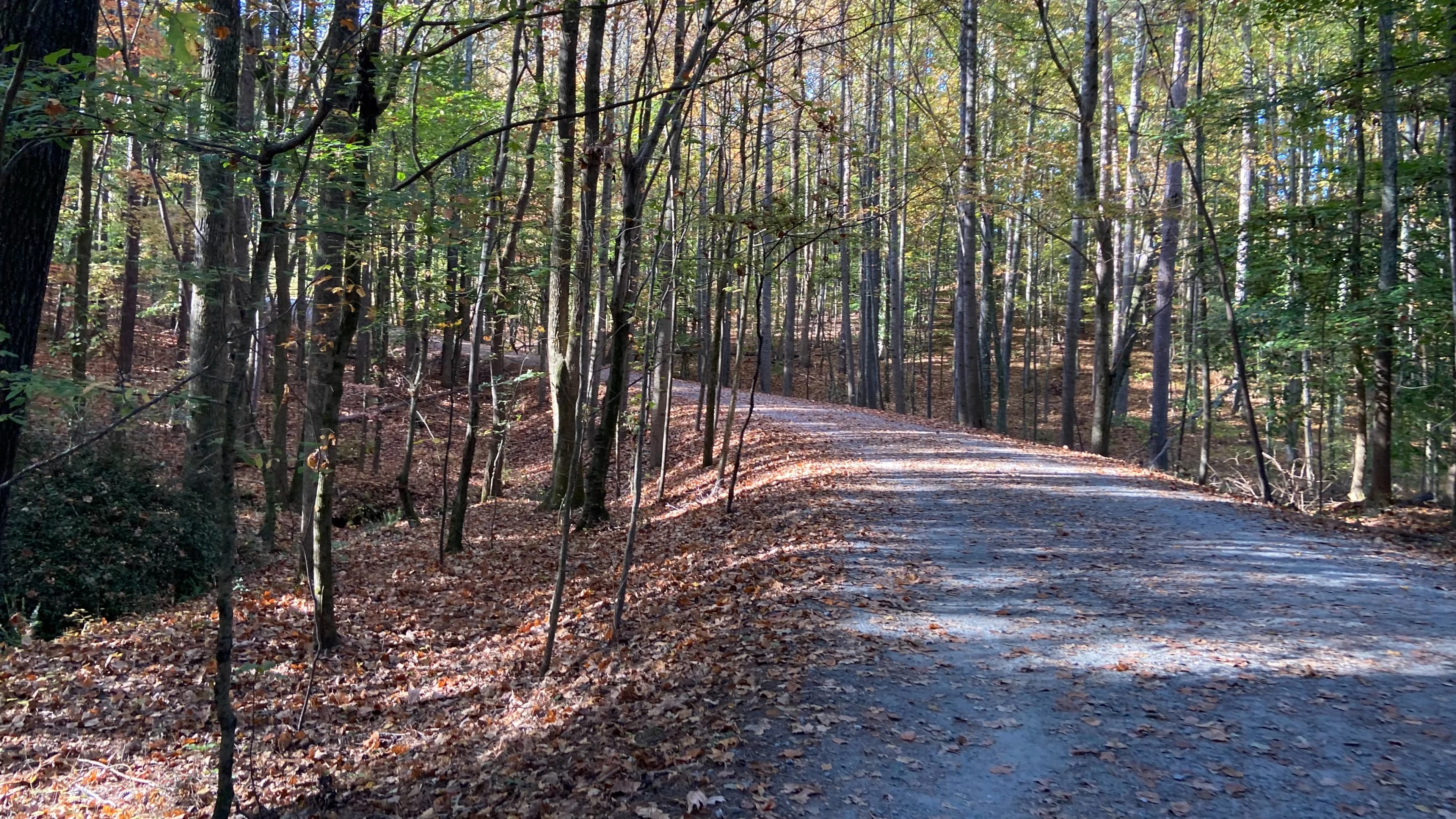 Trail at Webb Bridge Park, Alpharetta 9/26