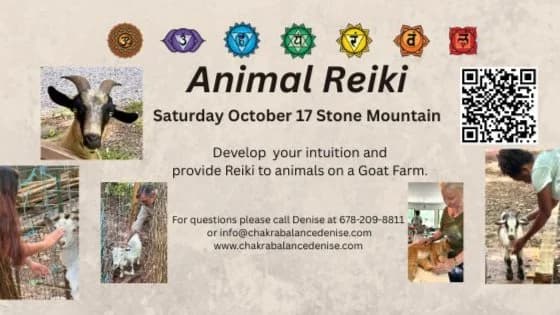 Animal Reiki Sept 19
