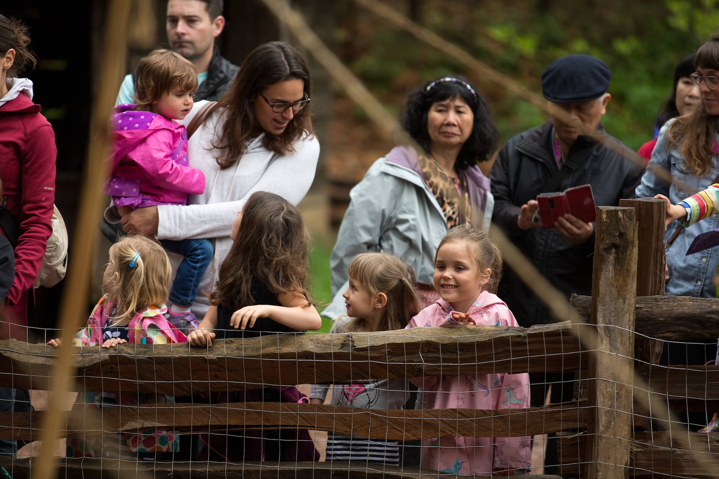 Toddler Storytime: Dinosaur, Dino-roar!