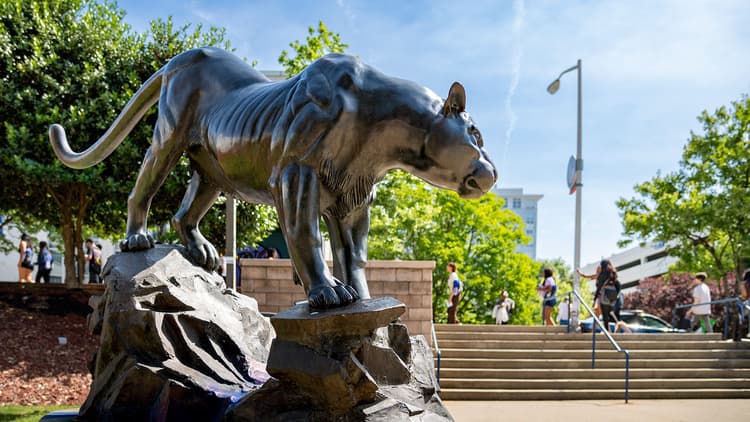 Decatur's Panther Con: Homecoming Edition