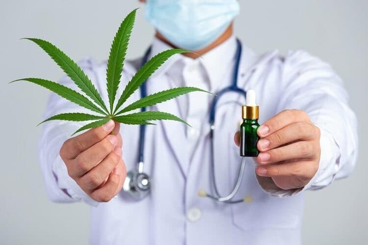 Getting into the Weeds: A Georgia Medical Cannabis Law Update